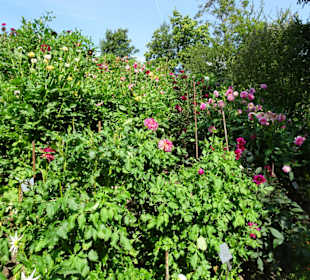 Eindrücke vom Rundgang durch die Gärten