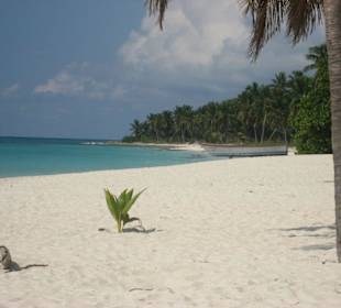 Einsamer Strand Saona