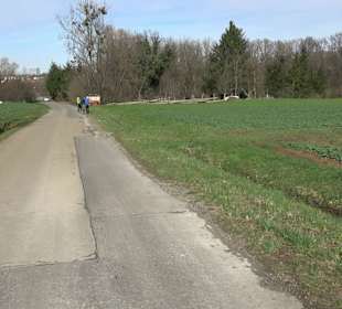 Gomaringer Rundweg - Zu den Giganten im Wald