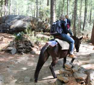 Taktsang Kloster - Tiger's Nest