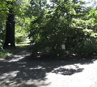 Botanischer Garten