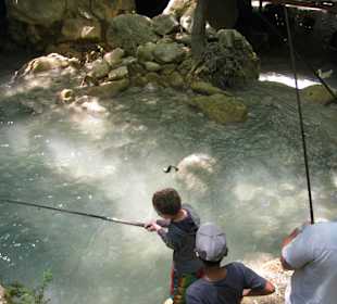 Forellenangeln und dann frisch auf den Tisch
