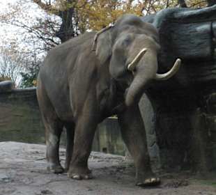 Tierpark Hagenbeck