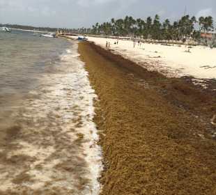Strand Bavaro Beach Punta Cana 13.06.18