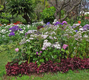 Impressionen aus dem Stadtpark von Funchal