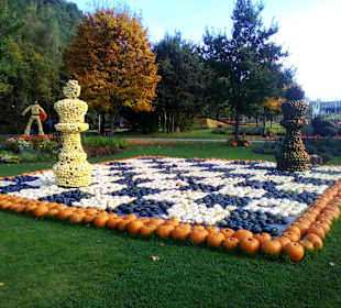 Gartenschau in Kaiserslautern