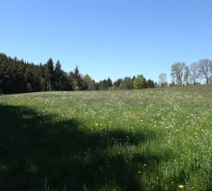 Magolsheimer Buchtalweg