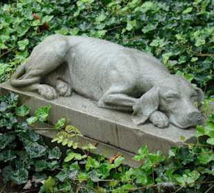 Cmentarz Psów Myśliwskich