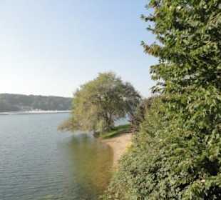 Fühlinger See