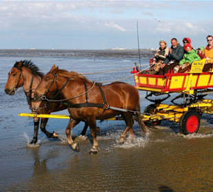 Wattwagen im Watt vor Cuxhaven-Sahlenburg