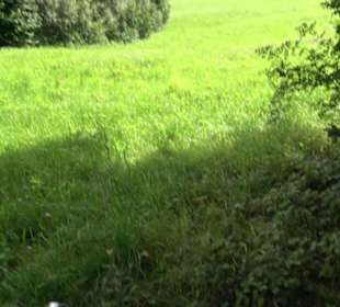 Themenweg Kaiserweg Zimmern