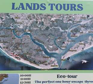 Boat Tours ab Faro
