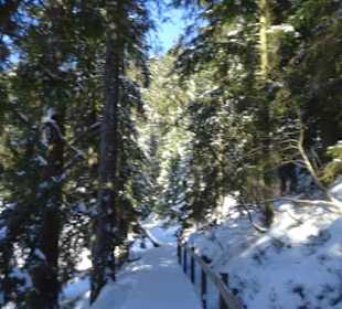 Mummelsee