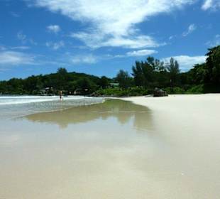 Insel
