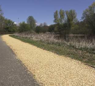 Sport- und Freizeitpark Markwasen