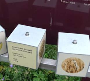 ALB-GOLD Naturgarten