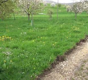 Naturerlebnisweg des NABU-Metzingen