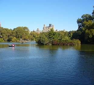 Im Central Park