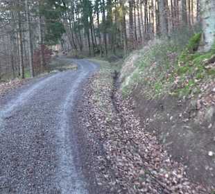 Ochsenweiher Rundweg