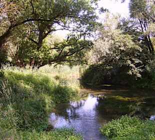 Im Naturschutzgebiet
