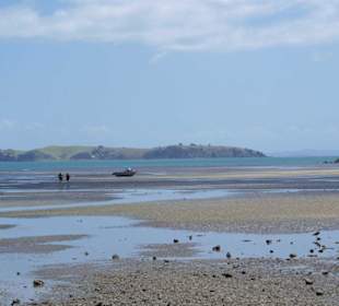 Shelly Beach in Coromandel