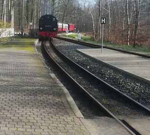 Molli Bahnhof Heiligendamm