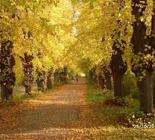 Herbstliches