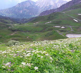 Wandern Mittelberg (Vorarlberg)