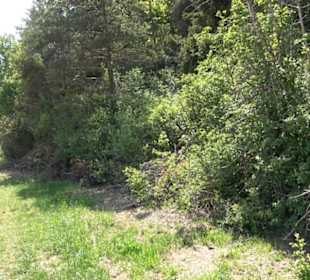 Premiumwanderweg Hochgehschätzt