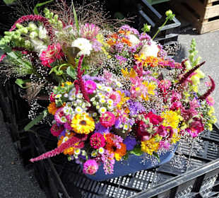 Impressionen vom Rundgang über den Wochenmarkt