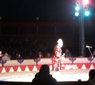 Landauer Weihnachtcircus 2016