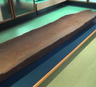 Meeresmuseum Stralsund