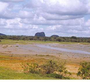 Herrliche Landschaft