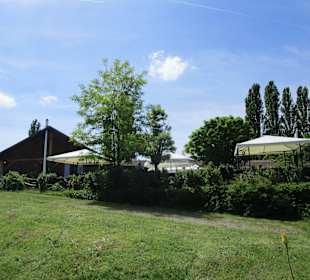 Straußenfarm Mhou Rülzheim