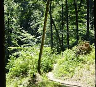 Wanderung durch die Kleine Luxemburger Schweiz