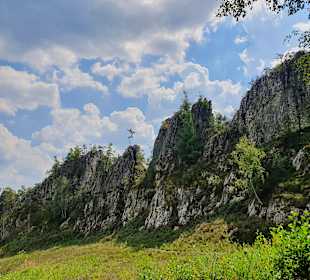 Naturschutzgebiet Großer Pfahl