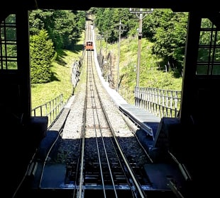 Fahrt mit der Königstuhlbahn
