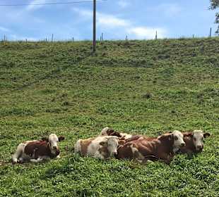 Wandern Hochrindl/Sirnitz