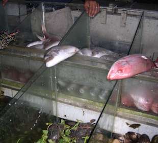 Restaurant de pêcheur à côté de l'hôtel