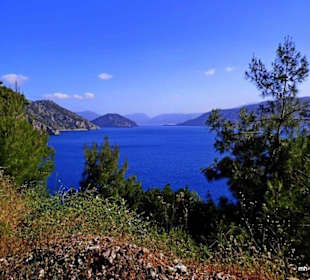 Immer weiter wird der Blick 