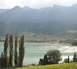 Aussicht von der Pension Florian über den Kalterersee Pension Florian