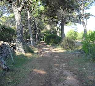 Wanderung auf dem "Camis de Cavalls"