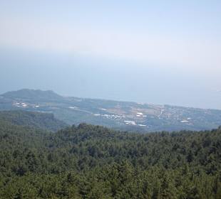 Widok z kolejki linowej