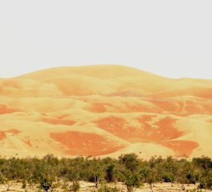 Sanddünen in der Rub al-Khali Wüste - Liwa Oase
