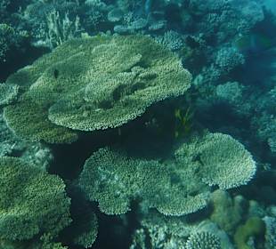 El Qulaan Lagoon