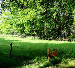 Impressionen vom Rundweg durch den Park