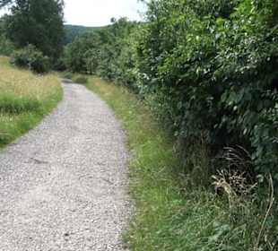 Premiumspazierweg Früchtetrauf-Leisawegle