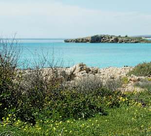 Nissi Bay