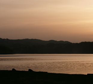 "Zakochani" Zielone Wzgórza Nad Soliną