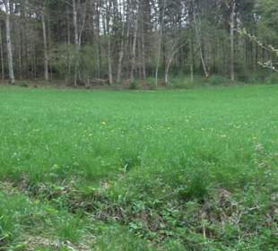 Premiumwanderweg Hochgebürzelt